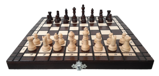 Dřevěné šachy 27 x 27 cm